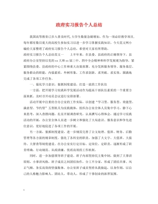政府实习报告个人总结