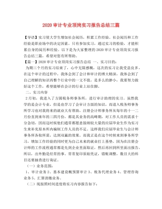 2020审计专业顶岗实习报告总结三篇 