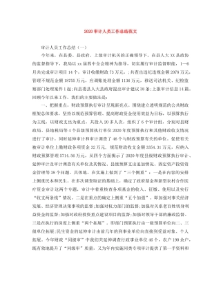 2020审计人员工作总结范文 