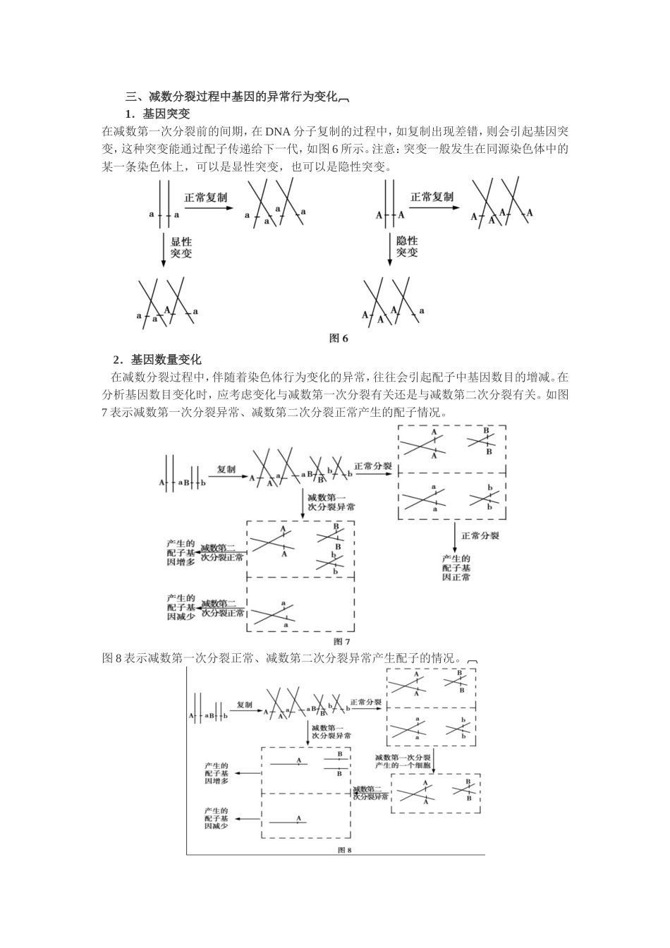 减数分裂与遗传定律_第3页