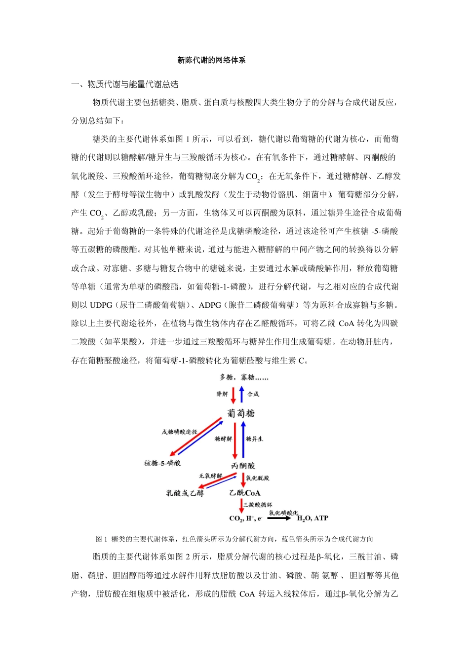 新陈代谢的网络体系_第1页