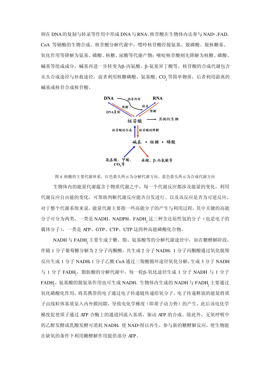新陈代谢的网络体系_第3页
