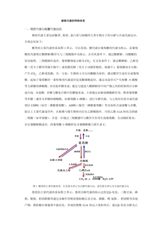 新陈代谢的网络体系