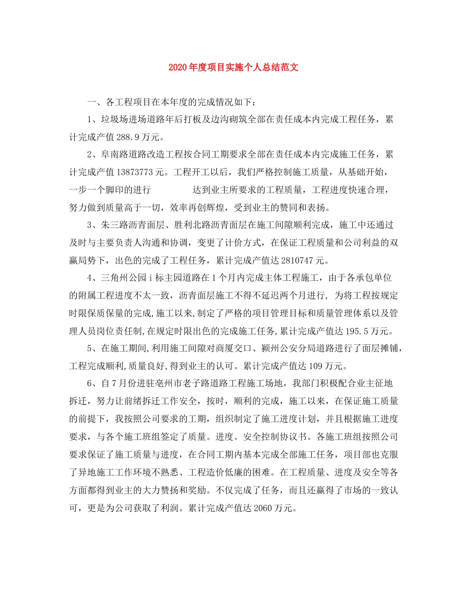 2020年度项目实施个人总结范文_第1页