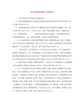 2020年度项目实施个人总结范文