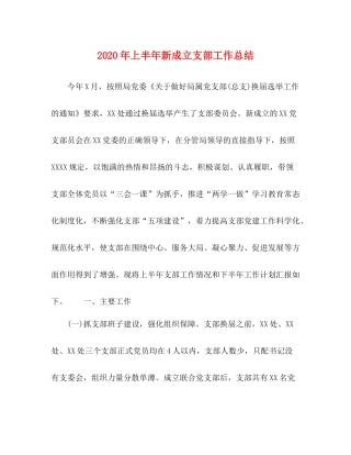 2020年上半年新成立支部工作总结
