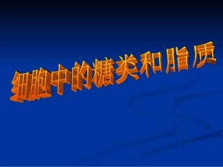 细胞中的糖类和脂质