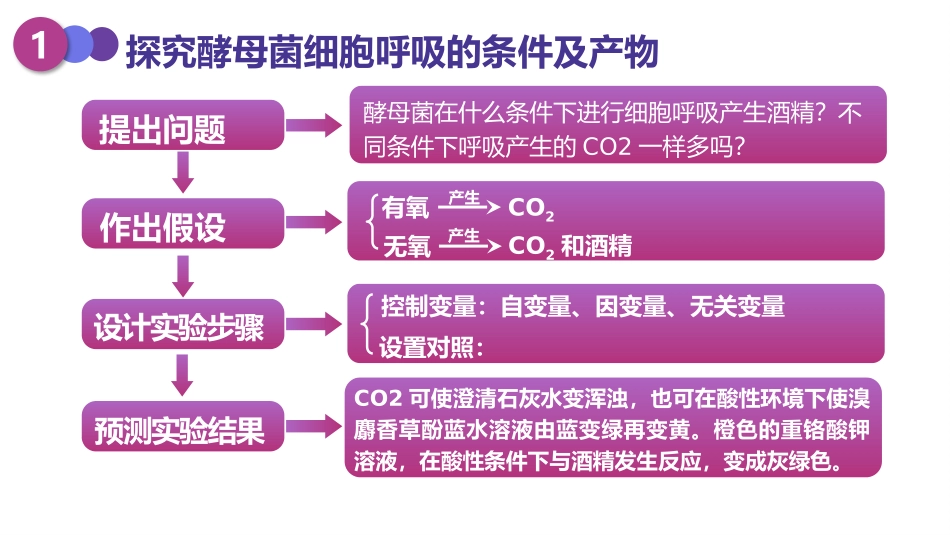 必修一第五章第三节ATP的主要来源—细胞呼吸（第1课时）_第3页