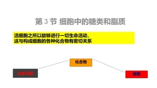 第二章的糖类和脂质(共12张PPT)