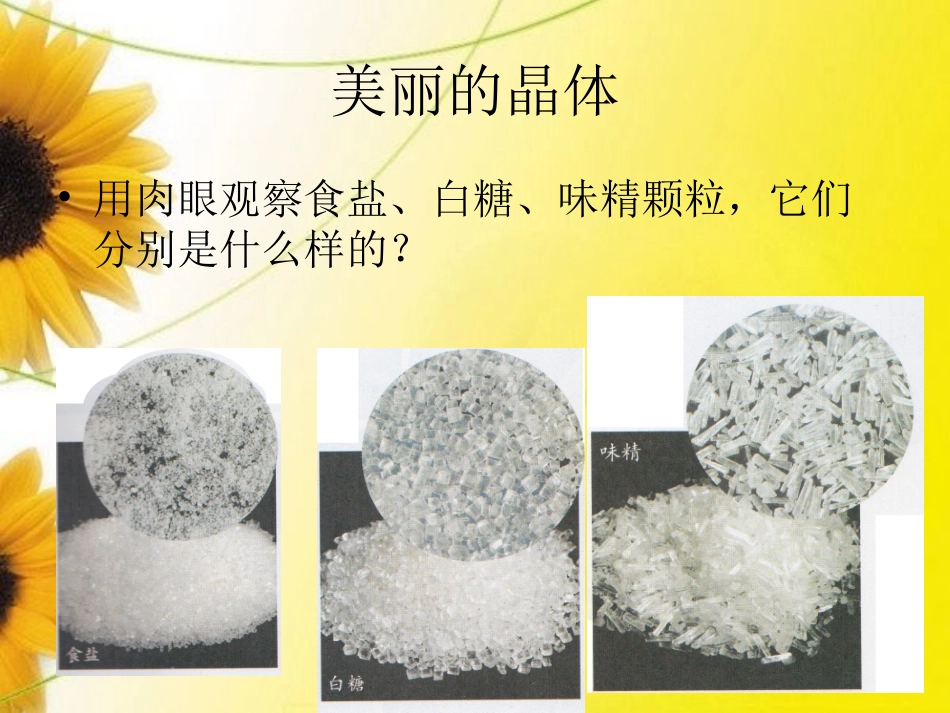 -_放大镜下的晶体_第3页