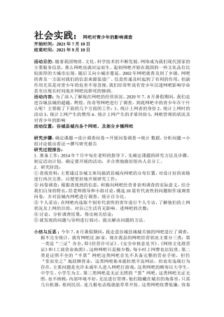 社会实践：网吧对青少年的影响