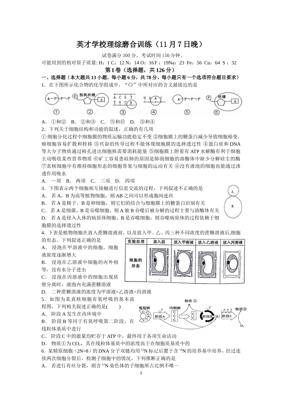 理综磨合训练_第1页