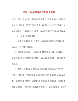 上半年劳保所工作要点总结