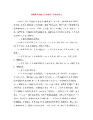 市商务局年度工作总结和工作安排范文