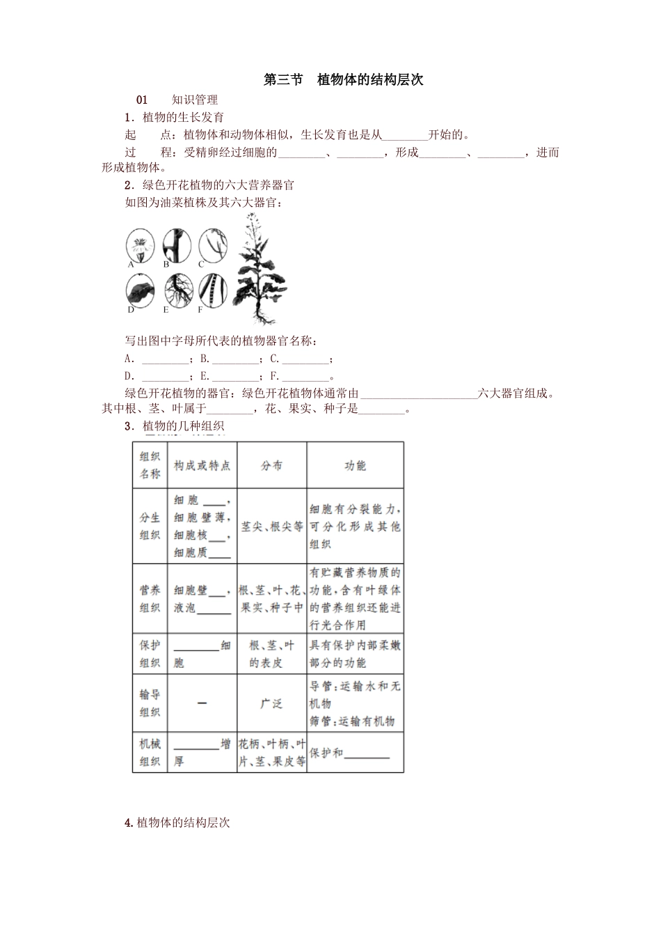 最新人教版七年级生物上册03植物体的结构层次试题及答案_第1页