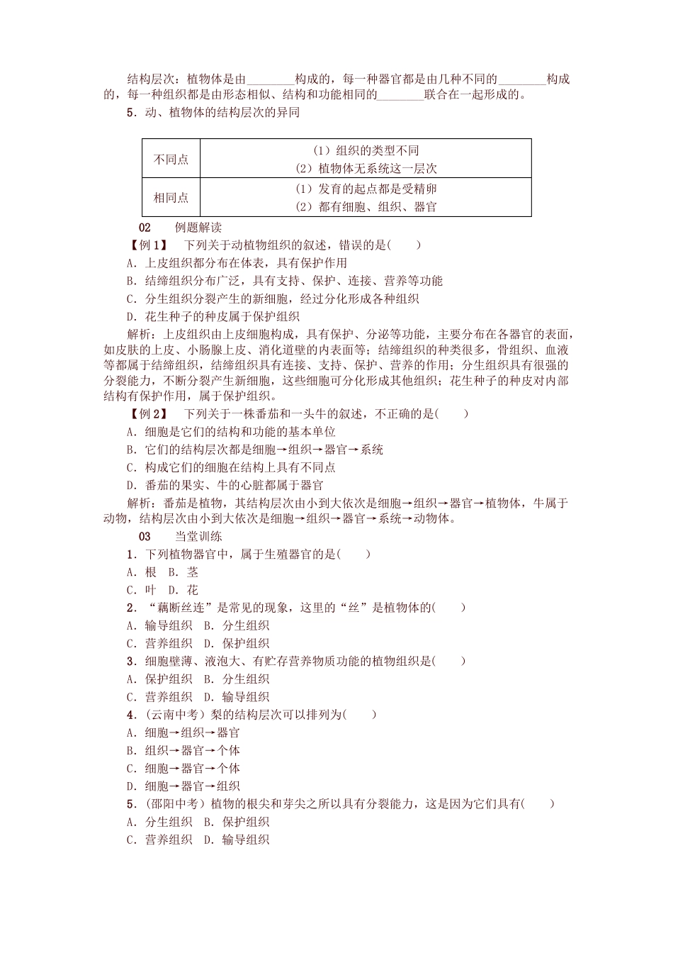 最新人教版七年级生物上册03植物体的结构层次试题及答案_第2页