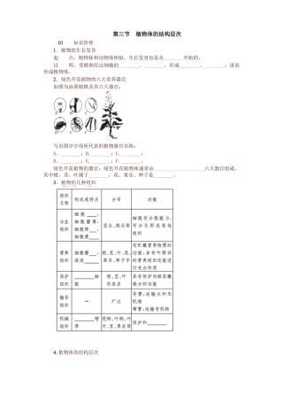 最新人教版七年级生物上册03植物体的结构层次试题及答案