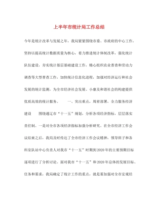 上半年市统计局工作总结2