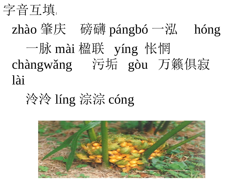 鼎湖山听泉2_第2页