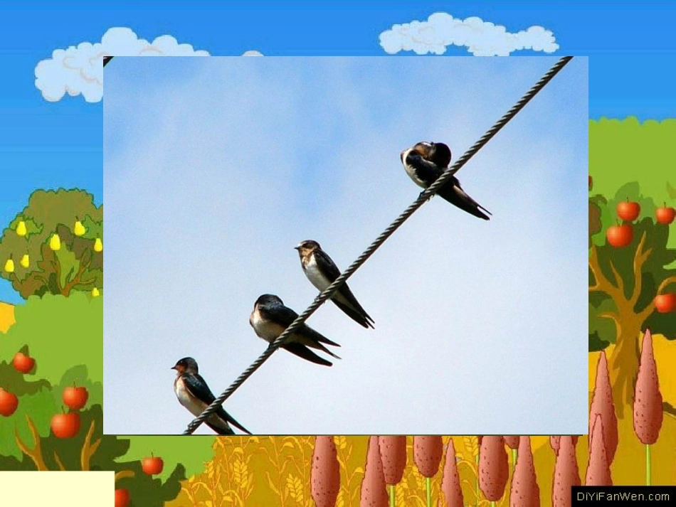 燕子专列课件(成品)_第1页