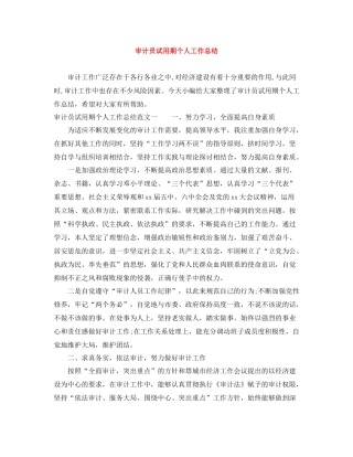 审计员试用期个人工作总结