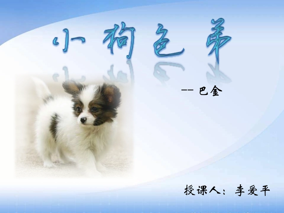 小狗包弟李小艾_第1页