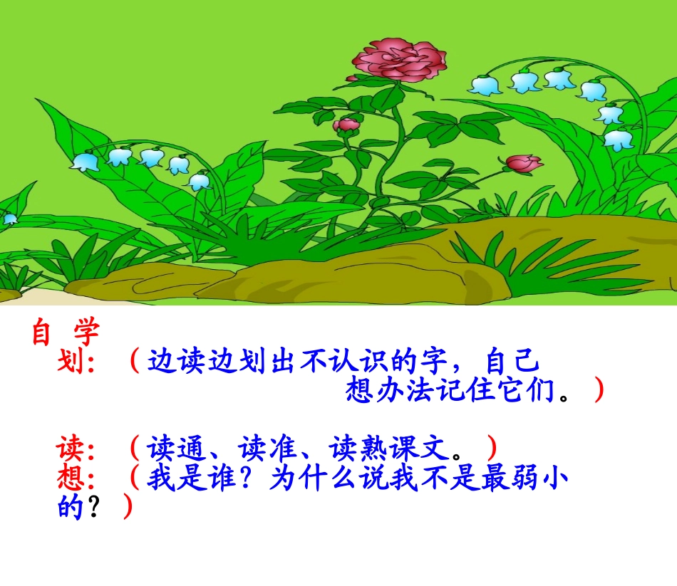 二年级语文下册《我不是最弱小的》PPT课件(鲁教版)_第3页