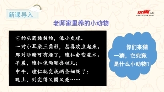 口语交际有趣的动物