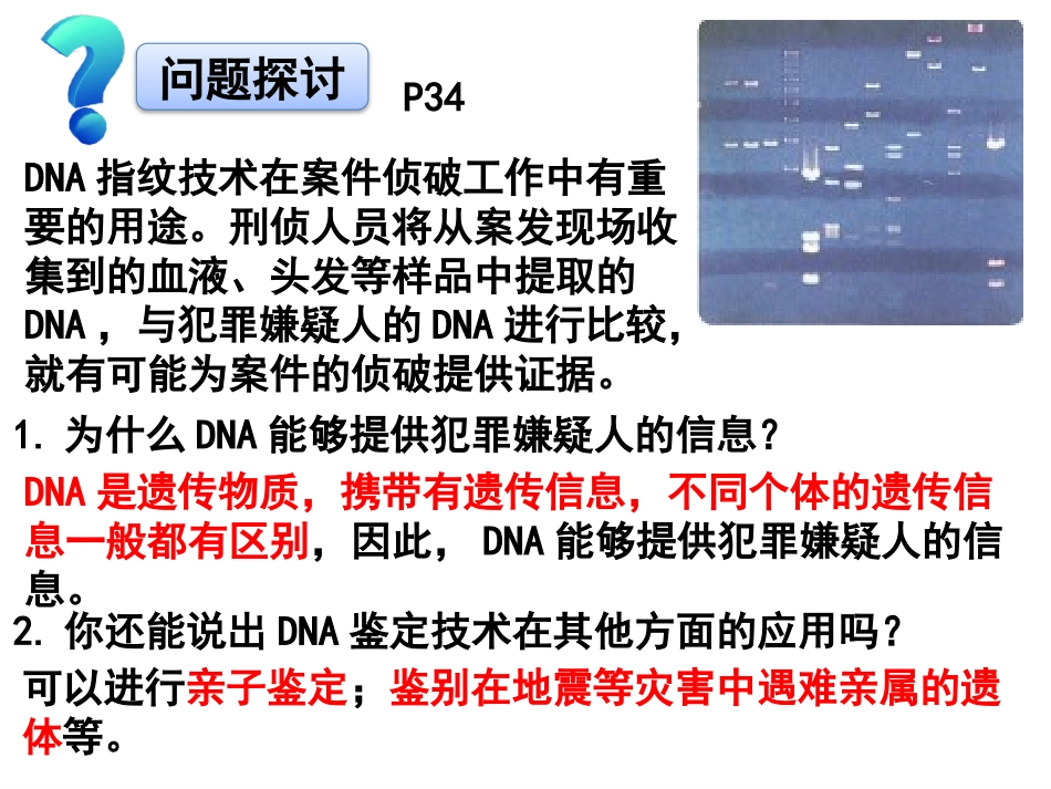 核酸是遗传信息的携带者_第2页