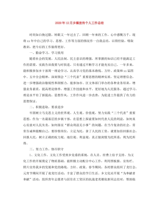 2020年12月乡镇宣传个人工作总结