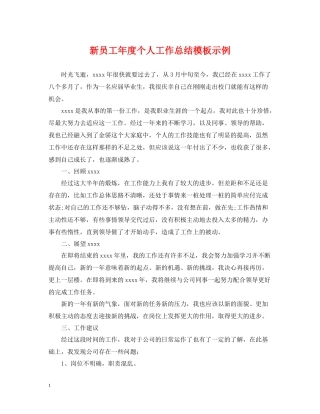 新员工年度个人工作总结模板示例