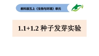 五上1-1+1-2《种子发芽实验》