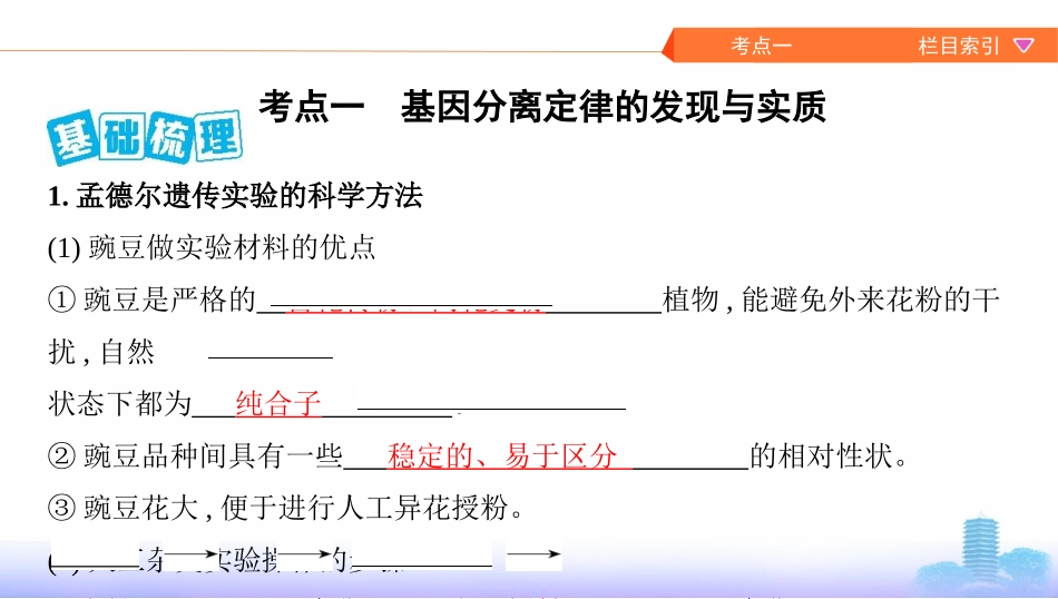 第13讲　基因的分离定律_第2页