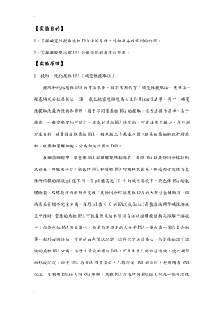 质粒DNA提取纯化及验证