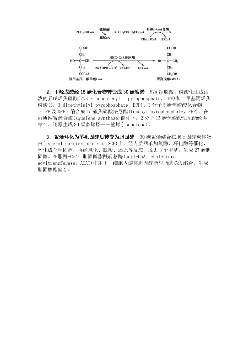 生物化学胆固醇代谢_第2页