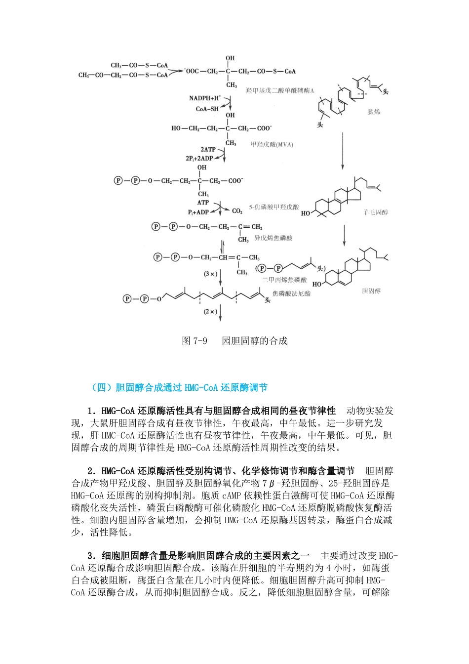 生物化学胆固醇代谢_第3页