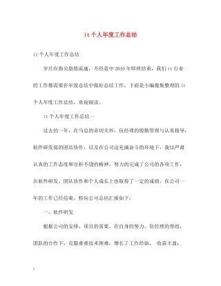 it个人年度工作总结2)