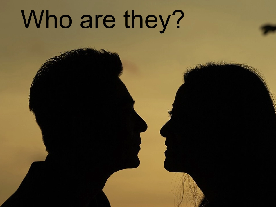 2016-2017学年北师大版必修1unit3Celebrationlesson3课件(12)_第3页