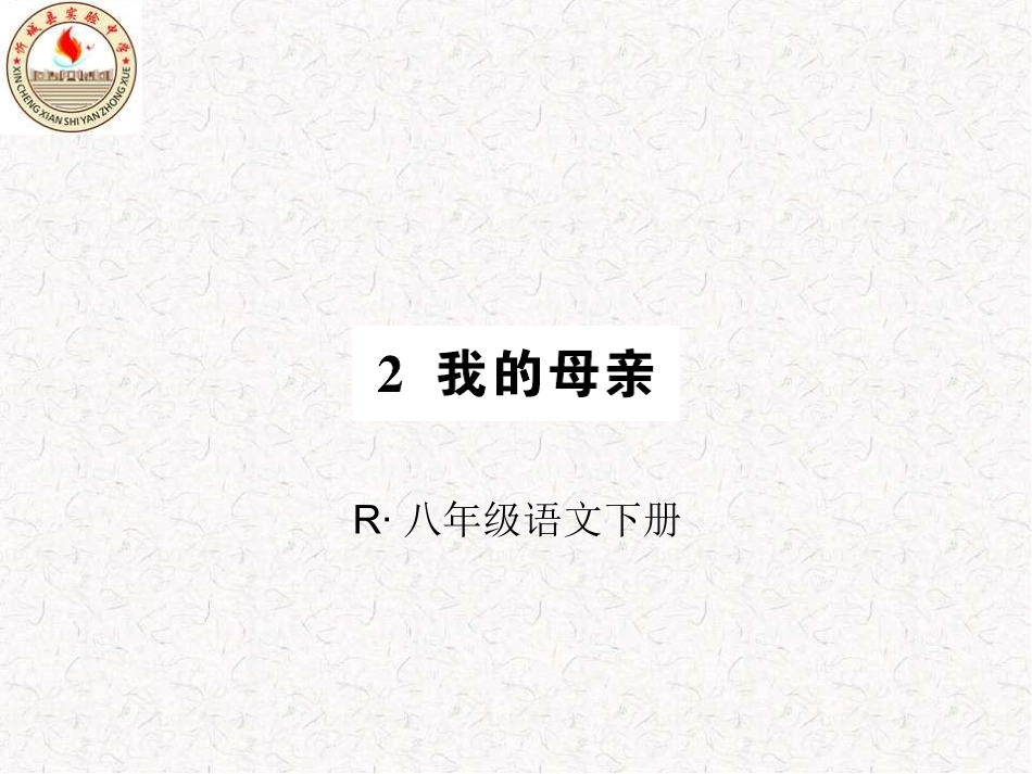我的母亲（作业课件）_第1页