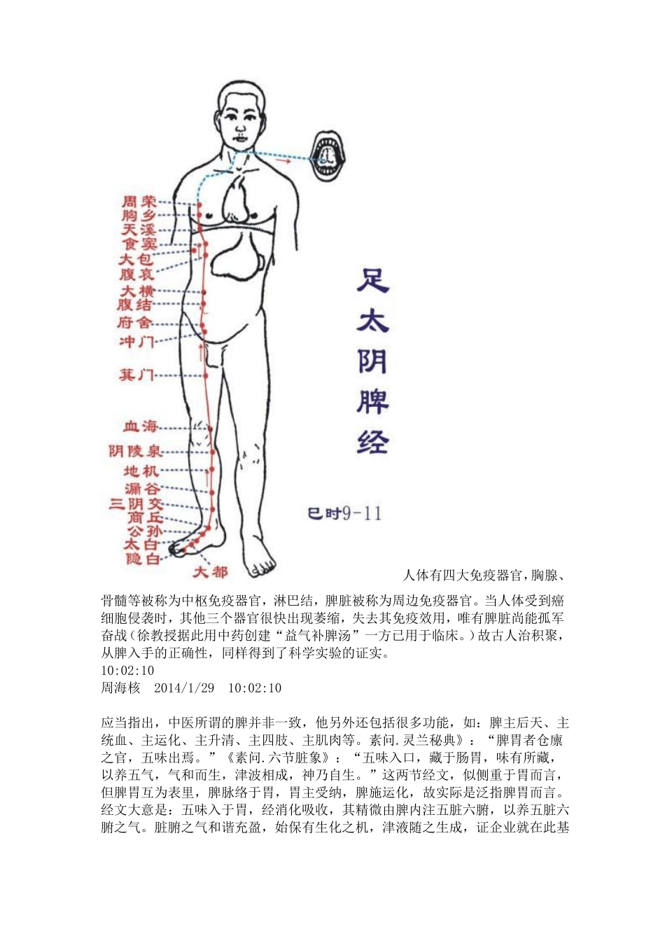 癌非绝症,其治在脾综述_第2页
