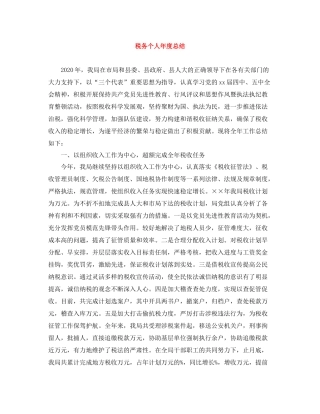 税务个人年度总结
