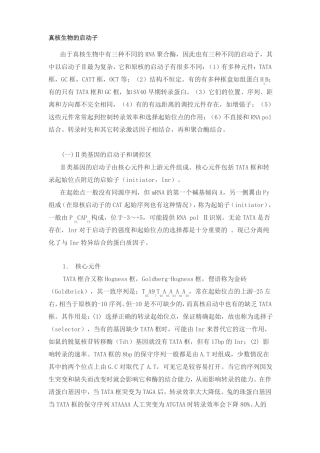 真核生物的启动子