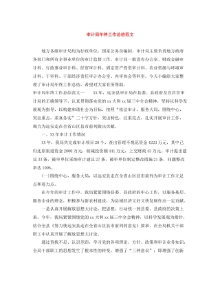 审计局年终工作总结范文