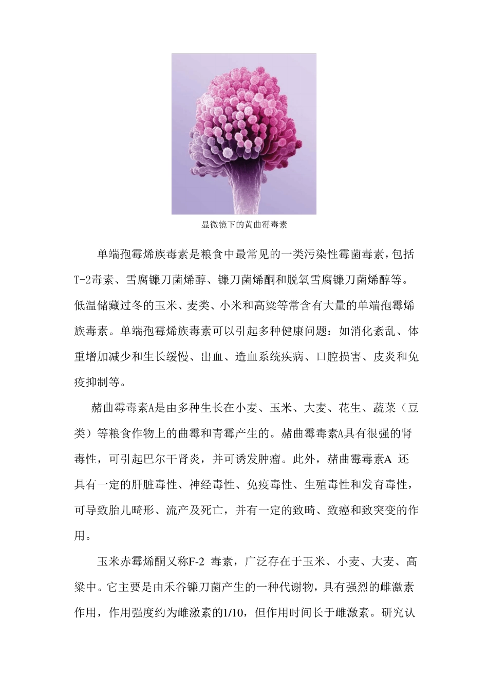 真菌毒素mycotoxin是由真菌产生的具有毒性的次级代谢_第2页