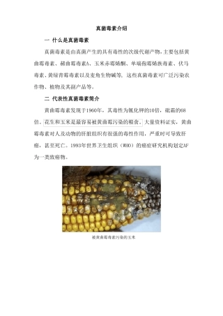 真菌毒素mycotoxin是由真菌产生的具有毒性的次级代谢