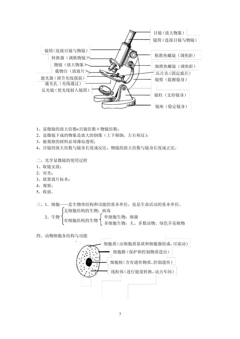 七上册生物总复习提纲_第3页