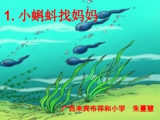 《小蝌蚪找妈妈》朱蔓慧晒课
