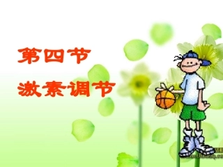 《激素调节》2
