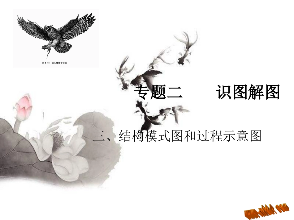 中考专题复习（识图解图）：结构模式图和过程示意图_第1页