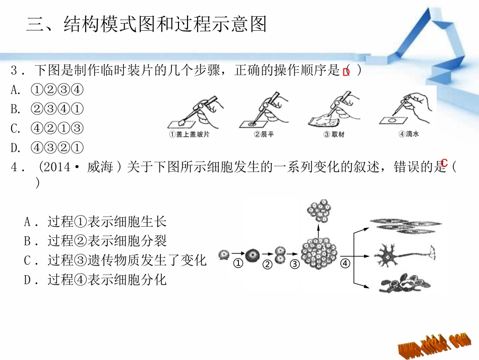 中考专题复习（识图解图）：结构模式图和过程示意图_第3页